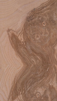 Ash Olive Burl Veneer