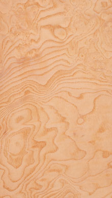 Ash Olive Burl Veneer