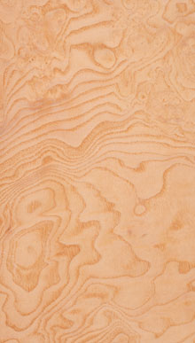 Ash Olive Burl Veneer