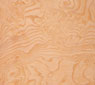 Ash White Burl Veneer