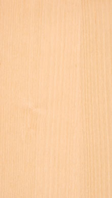 Ash White Qtrd Veneer