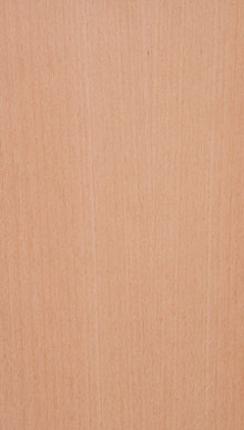 Beech Erpn Stmd Qtrd