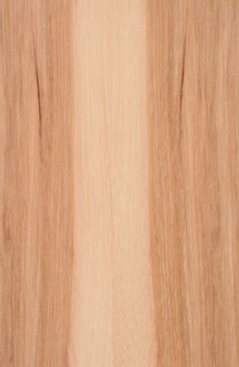Hickory