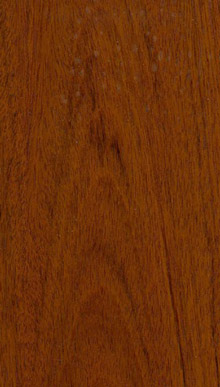 Jatoba P/S Veneer