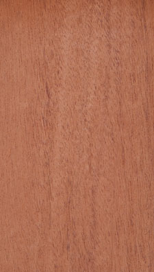 Mahogany African Flat Cut