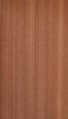 Mahogany African Ribbon