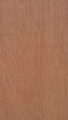 Mahogany Royal