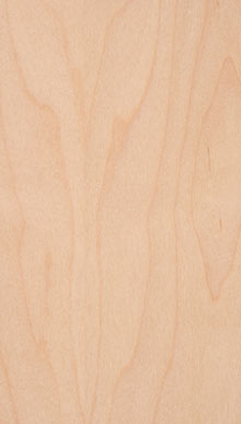 Maple Flat Cut