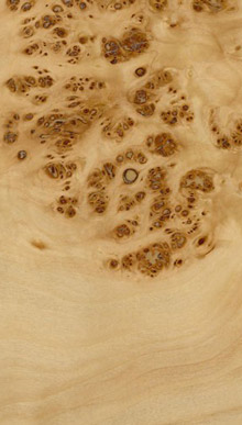 Mappa Burl