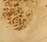 Mappa Burl