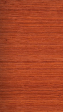 Padauk African