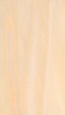 Poplar White