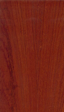 Sapele P/S