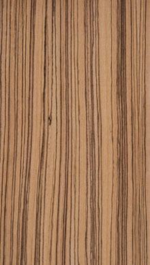 Zebrawood